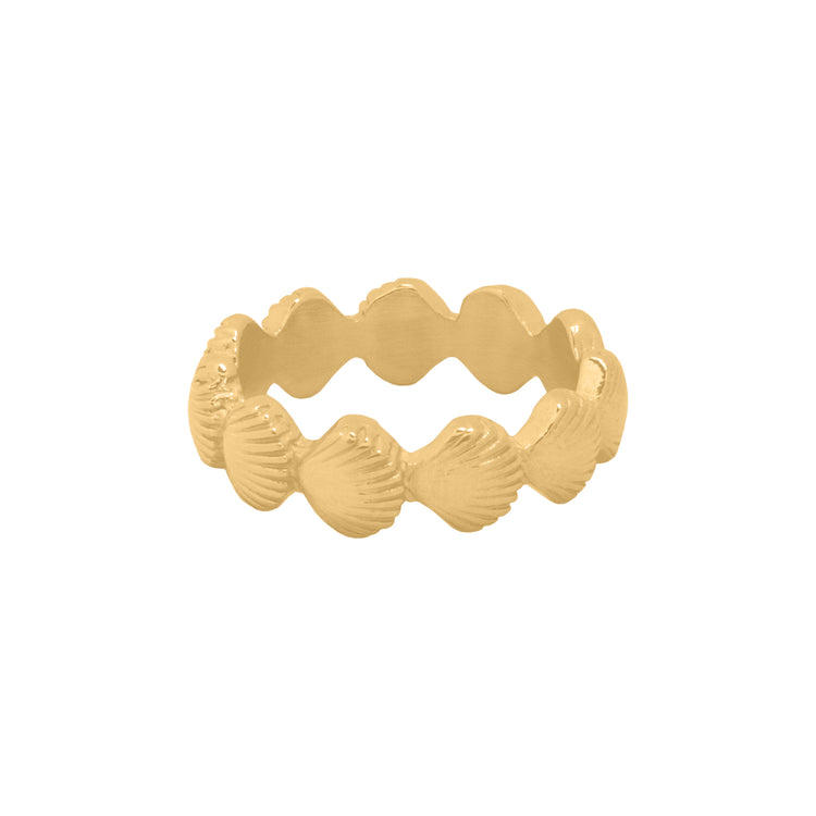 SEASHELL RING