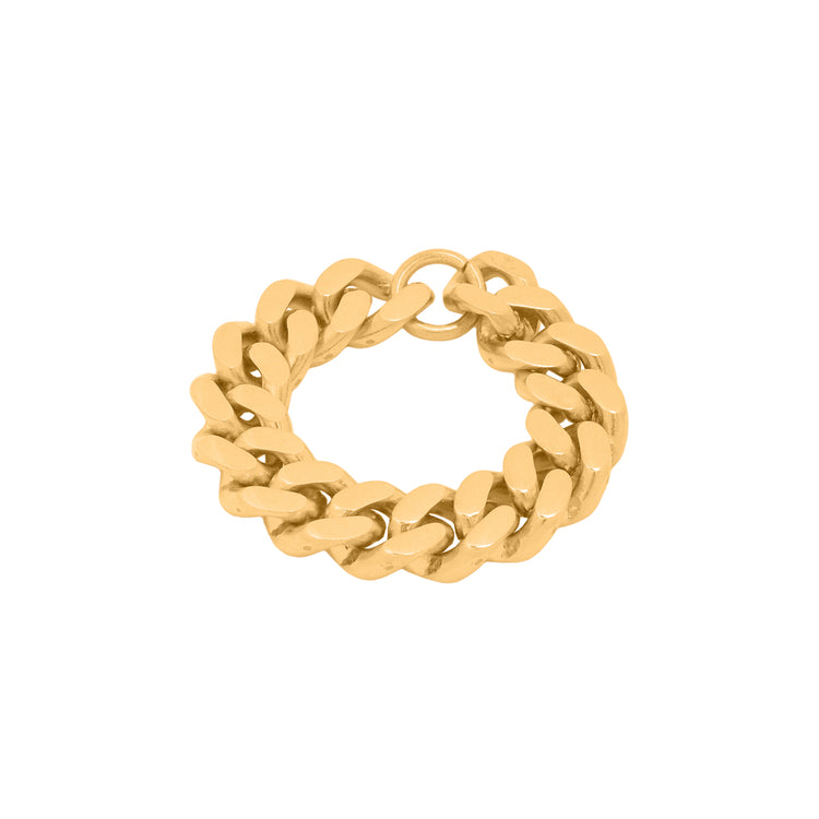 ESSENTIAL CHAIN RING